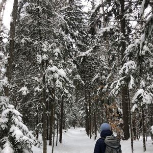 Meet your Posher, Riley